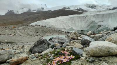 赖老师的旅行记